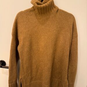 Everlane Cloud Turtleneck Sweater